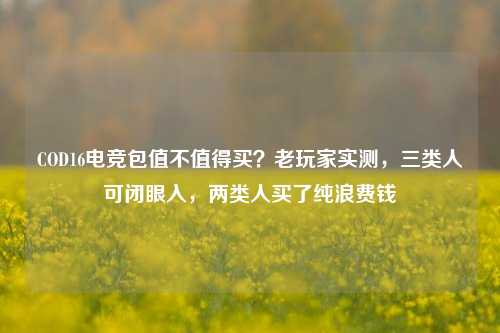 COD16电竞包值不值得买?老玩家实测,三类人可闭眼入,两类人买了纯浪费钱