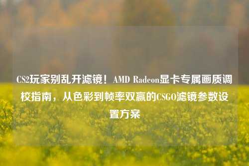 CS2玩家别乱开滤镜!AMD Radeon显卡专属画质调校指南,从色彩到帧率双赢的CSGO滤镜参数设置方案