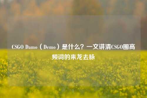 CSGO Damo（Demo）是什么？一文讲清CSGO圈高频词的来龙去脉