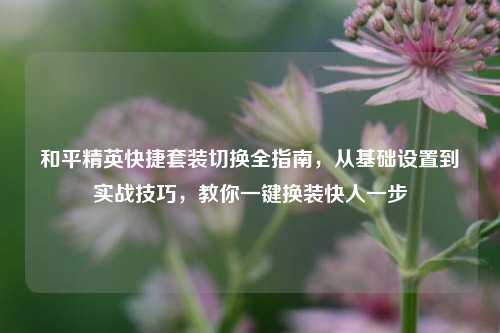 和平精英快捷套装切换全指南,从基础设置到实战技巧,教你一键换装快人一步