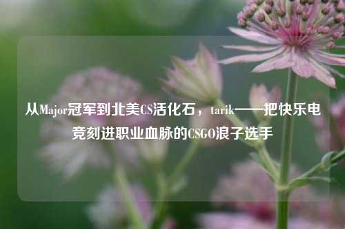 从Major冠军到北美CS活化石，tarik——把快乐电竞刻进职业血脉的CSGO浪子选手
