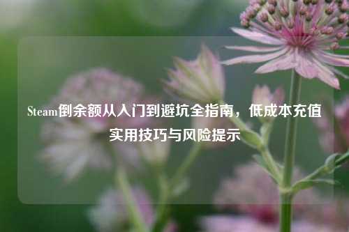 Steam倒余额从入门到避坑全指南,低成本充值实用技巧与风险提示
