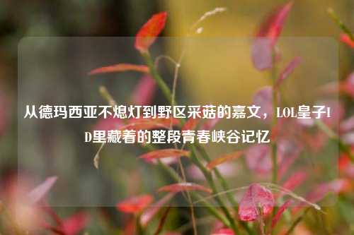 从德玛西亚不熄灯到野区采菇的嘉文，LOL皇子ID里藏着的整段青春峡谷记忆