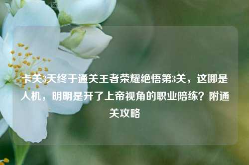 卡关3天终于通关王者荣耀绝悟第3关,这哪是人机,明明是开了上帝视角的职业陪练?附通关攻略