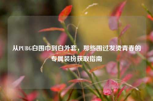 从PUBG白围巾到白外套，那些围过发烫青春的专属装扮获取指南