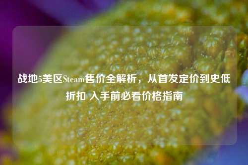 战地5美区Steam售价全解析,从首发定价到史低折扣 入手前必看价格指南