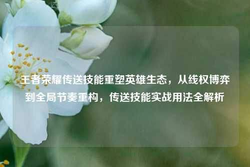 王者荣耀传送技能重塑英雄生态,从线权博弈到全局节奏重构,传送技能实战用法全解析