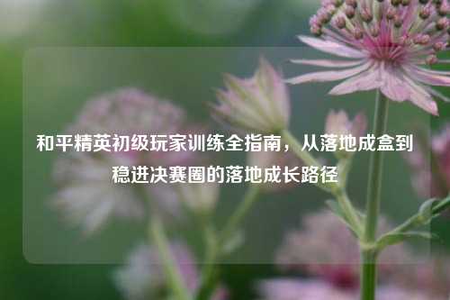 和平精英初级玩家训练全指南,从落地成盒到稳进决赛圈的落地成长路径