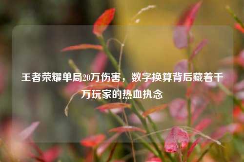 王者荣耀单局20万伤害,数字换算背后藏着千万玩家的热血执念