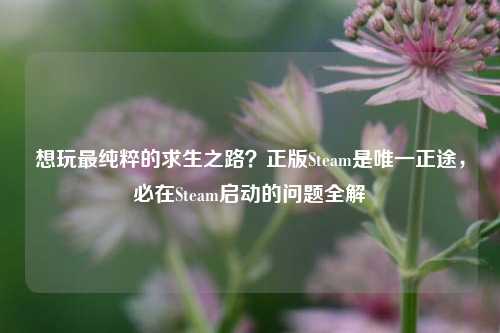 想玩最纯粹的求生之路？正版Steam是唯一正途，必在Steam启动的问题全解