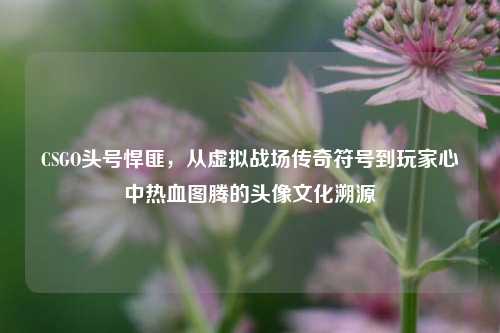 CSGO头号悍匪，从虚拟战场传奇符号到玩家心中热血图腾的头像文化溯源