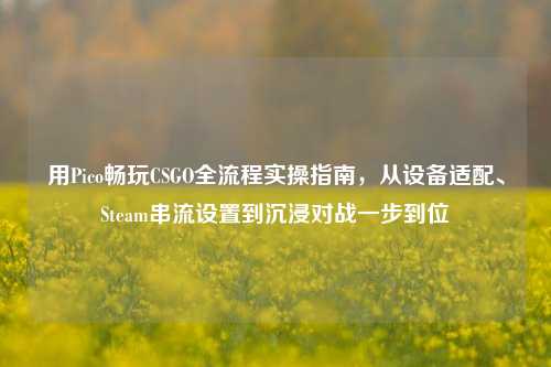用Pico畅玩CSGO全流程实操指南,从设备适配、Steam串流设置到沉浸对战一步到位