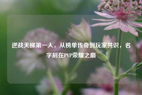 逆战天梯第一人,从榜单传奇到玩家共识,名字刻在PVP荣耀之巅
