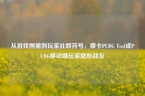 从游戏刚需到玩家社群符号，摩卡PUBG Tool成PUBG移动端玩家隐形战友