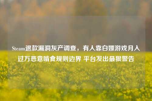 Steam退款漏洞灰产调查,有人靠白嫖游戏月入过万恶意啃食规则边界 平台发出最狠警告