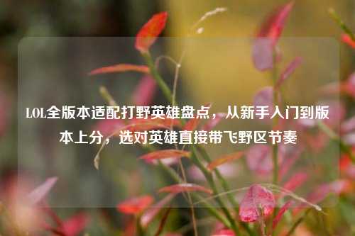 LOL全版本适配打野英雄盘点,从新手入门到版本上分,选对英雄直接带飞野区节奏
