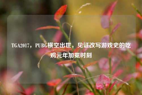 TGA2017,PUBG横空出世,见证改写游戏史的吃鸡元年加冕时刻