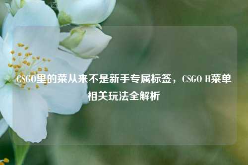 CSGO里的菜从来不是新手专属标签，CSGO H菜单相关玩法全解析