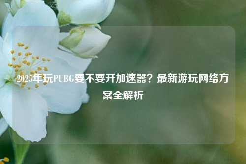 2025年玩PUBG要不要开加速器？最新游玩网络方案全解析