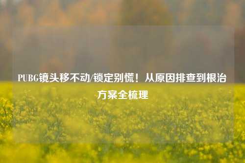 PUBG镜头移不动/锁定别慌！从原因排查到根治方案全梳理