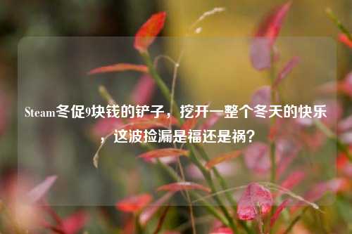 Steam冬促9块钱的铲子，挖开一整个冬天的快乐，这波捡漏是福还是祸？