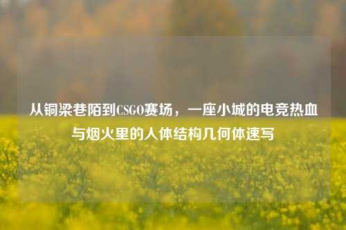 从铜梁巷陌到CSGO赛场，一座小城的电竞热血与烟火里的人体结构几何体速写
