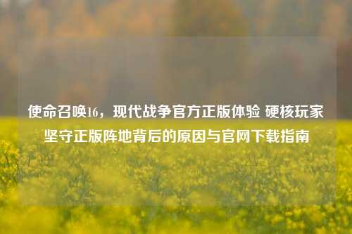 使命召唤16,现代战争官方正版体验 硬核玩家坚守正版阵地背后的原因与官网下载指南
