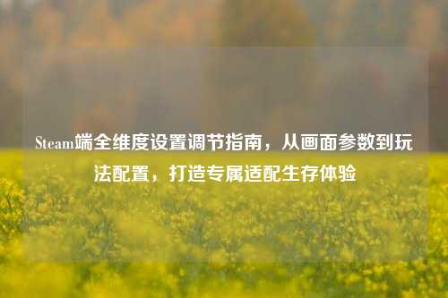Steam端全维度设置调节指南，从画面参数到玩法配置，打造专属适配生存体验