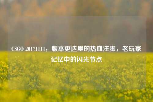 CSGO 20171114,版本更迭里的热血注脚,老玩家记忆中的闪光节点