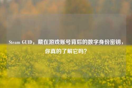 Steam GUID，藏在游戏账号背后的数字身份密钥，你真的了解它吗？