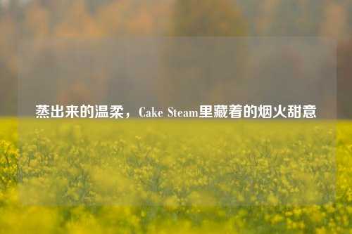蒸出来的温柔,Cake Steam里藏着的烟火甜意