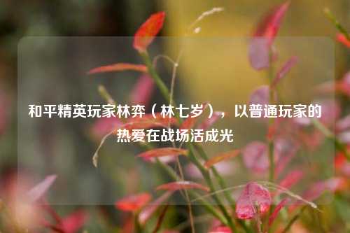 和平精英玩家林弈（林七岁），以普通玩家的热爱在战场活成光