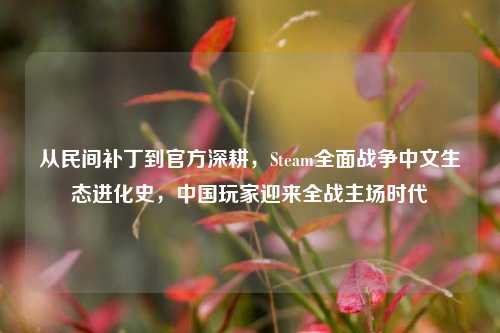 从民间补丁到官方深耕,Steam全面战争中文生态进化史,中国玩家迎来全战主场时代