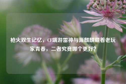 枪火双生记忆,CF端游雷神与源麒麟藏着老玩家青春,二者究竟哪个更好?