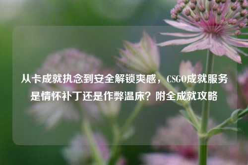 从卡成就执念到安全解锁爽感,CSGO成就服务是情怀补丁还是作弊温床?附全成就攻略