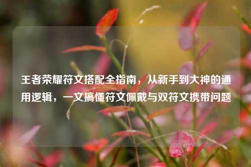 王者荣耀符文搭配全指南,从新手到大神的通用逻辑,一文搞懂符文佩戴与双符文携带问题