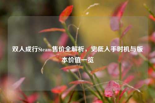 双人成行Steam售价全解析,史低入手时机与版本价值一览