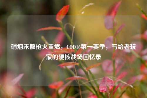 硝烟未散枪火重燃,COD16第一赛季,写给老玩家的硬核战场回忆录