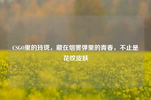 CSGO里的玲珑，藏在烟雾弹里的青春，不止是花纹皮肤