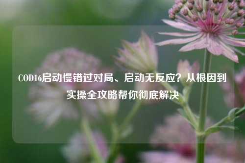 COD16启动慢错过对局、启动无反应?从根因到实操全攻略帮你彻底解决