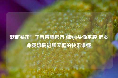 软萌暴击！王者荣耀官方Q版QQ头像来袭 把本命英雄揣进聊天框的快乐谁懂