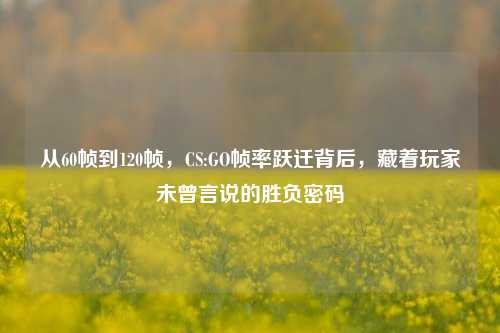 从60帧到120帧，CS:GO帧率跃迁背后，藏着玩家未曾言说的胜负密码