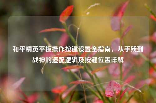 和平精英平板操作按键设置全指南，从手残到战神的适配逻辑及按键位置详解