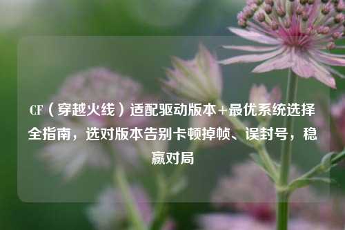 CF(穿越火线)适配驱动版本+最优系统选择全指南,选对版本告别卡顿掉帧、误封号,稳赢对局