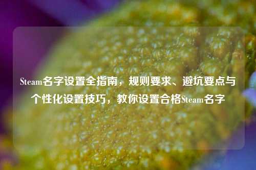Steam名字设置全指南,规则要求、避坑要点与个性化设置技巧,教你设置合格Steam名字