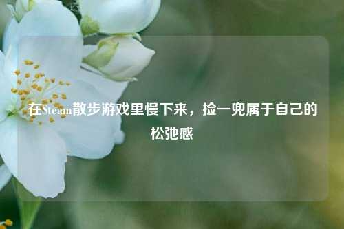 在Steam散步游戏里慢下来,捡一兜属于自己的松弛感