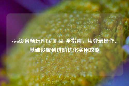 vivo设备畅玩PUBG Mobile全指南，从登录操作、基础设置到进阶优化实用攻略