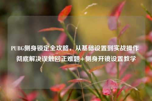 PUBG侧身锁定全攻略，从基础设置到实战操作 彻底解决误触回正难题+侧身开镜设置教学