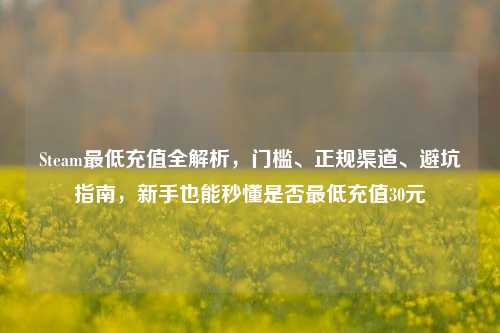 Steam最低充值全解析,门槛、正规渠道、避坑指南,新手也能秒懂是否最低充值30元
