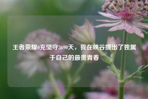 王者荣耀0充坚守3690天,我在峡谷攒出了独属于自己的最贵青春